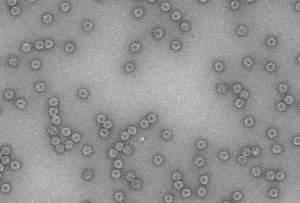 Museo Nacional de Ciencias Naturales en Madrid