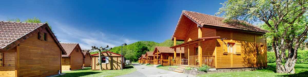 Escapada micológica en familia: buscando setas en Navarra