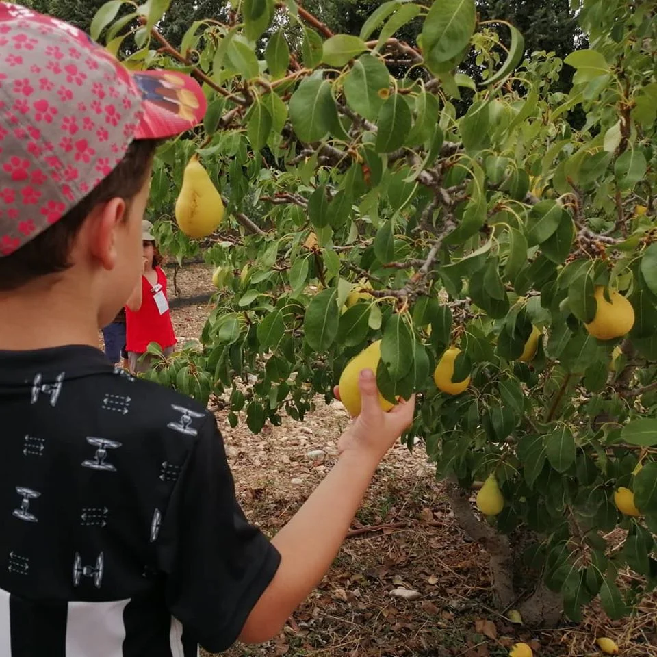 Visita a la granja en familia: animales, huerto y diversión en Zaragoza
