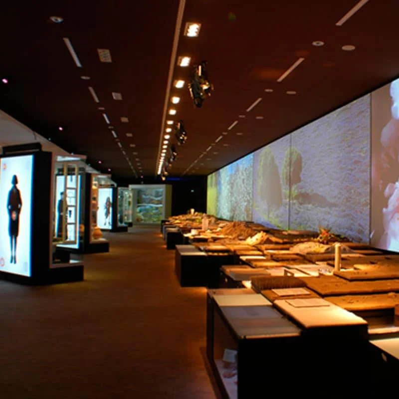 Museo Memoria de Andalucía: viaje al pasado jugando en Granada