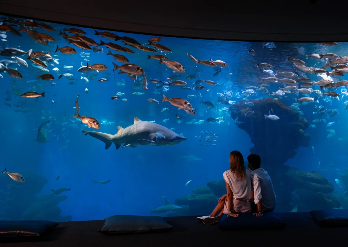 Palma Aquarium: tiburones, medusas y selva tropical en Mallorca en Islas Baleares