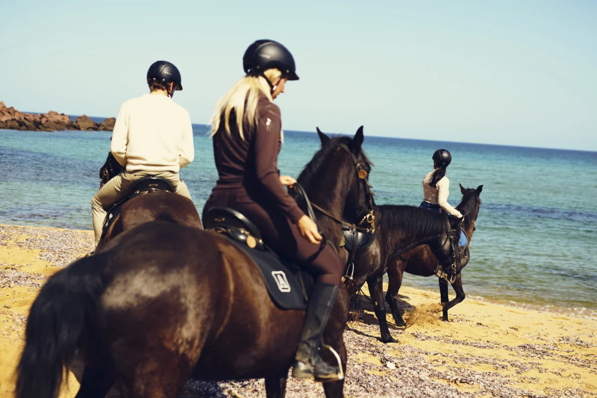 Granja orgánica con cielos estrellados en Menorca: animales y astronomía en Islas Baleares