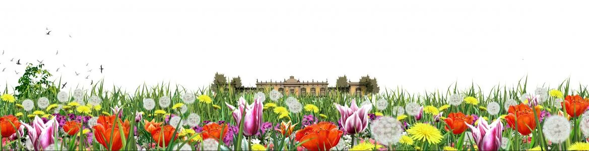 Jardines de Vista Alegre