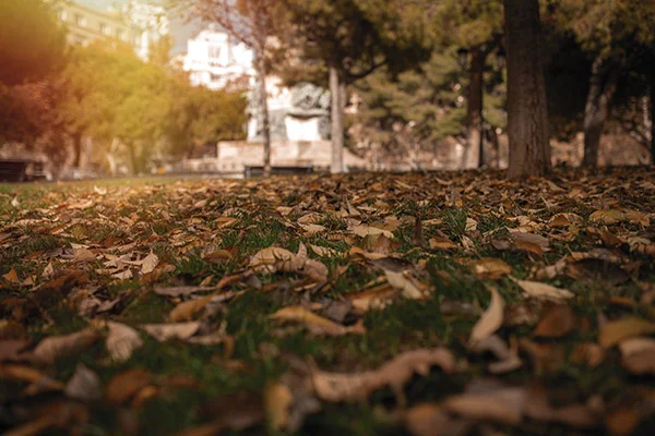 Circuitos de carrera en el Parque Grande Labordeta para pequenos atletas en Zaragoza