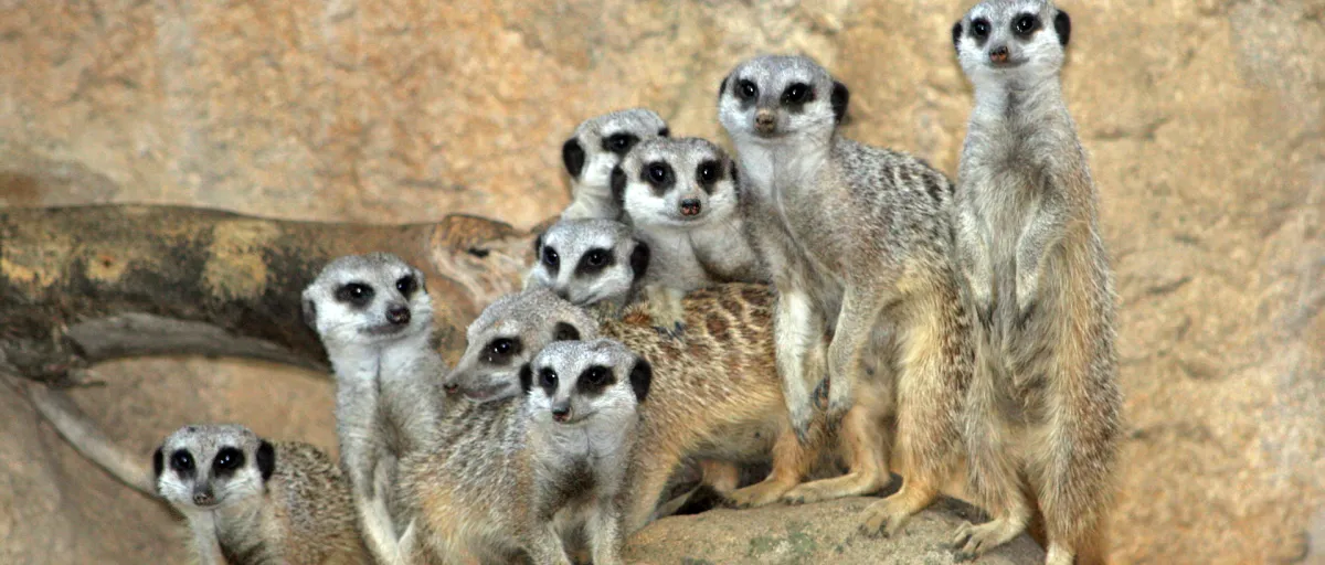 Zoo de Barcelona en Barcelona